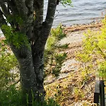 Bryggehage - *